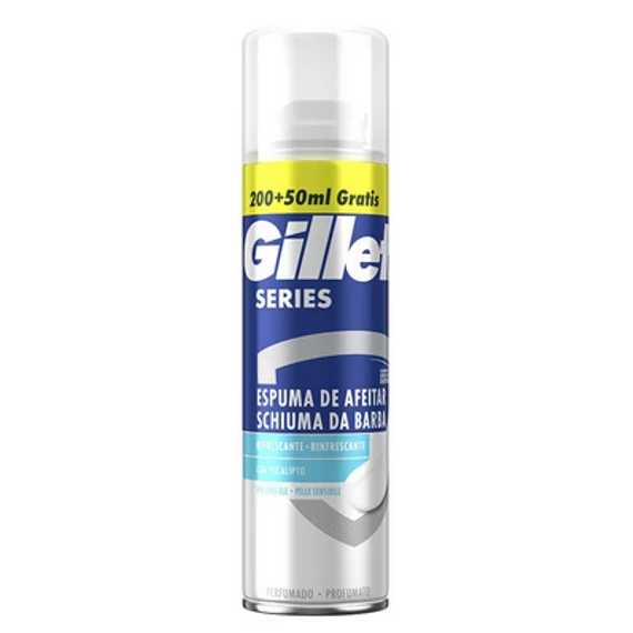 GILLETTE BOROTVAHAB SERIES  250ML SENSITIVE