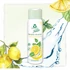 Frosch Tusfürdő Citrommenta 300 ml